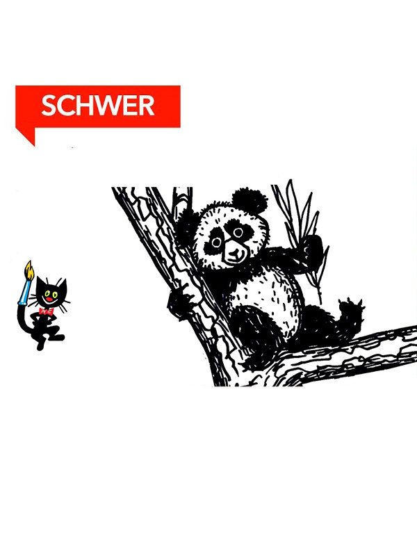 Wie malt man einen Panda